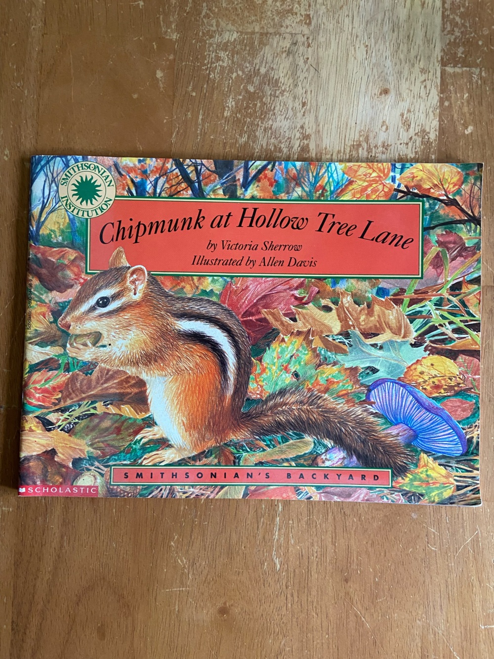 Chipmunk at Hollow Tree Lane leaf Fall leaves NATURE Book mushroom Forest tree